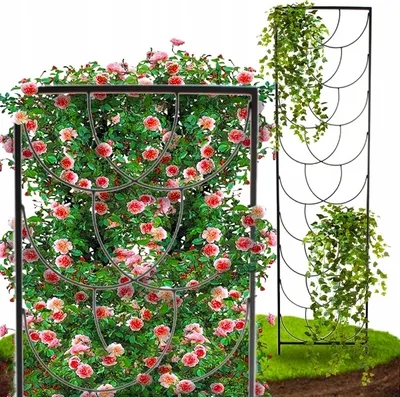 Immagine prodotto di Scala di sostegno della rosa della pergola da giardino 200 cm - stabile - metallo - set di 2 pezzi
