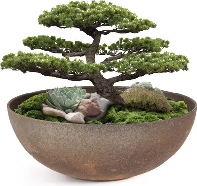 Produktbild von Pflanzschale für draussen Dekoschale rund Rost-Optik 19 x 6 cm