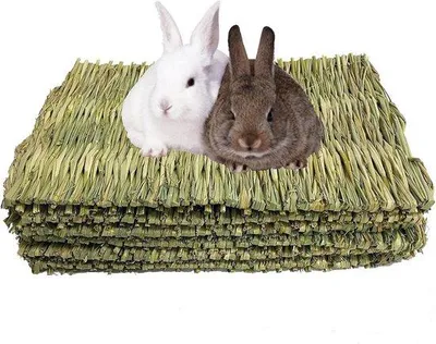 Produktbild von Famanu Grasmatten für kleine Tiere - 5 Stück