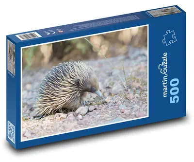 Produktbild von martinpuzzle - Puzzle 500 Teile - Stachelameisenbär