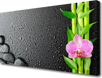 Produktbild von Tulup Leinwand-Bilder 100x50 Wandbild Canvas Kunstdruck Bambusrohre Blume Steine