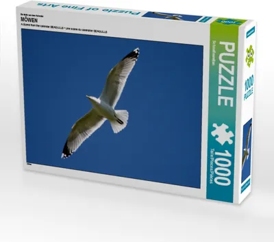 Produktbild von Calvendo Ein Motiv aus dem Kalender MÖWEN 1000 Teile Puzzle quer 640x480mm, CALVENDO; 7280475