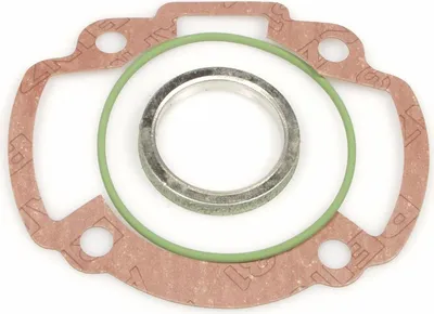 Obrázok produktu pre Sada tesnení Malossi MHR, priemer 47 mm, kompatibilná s modelom Peugeot Speedfight 2