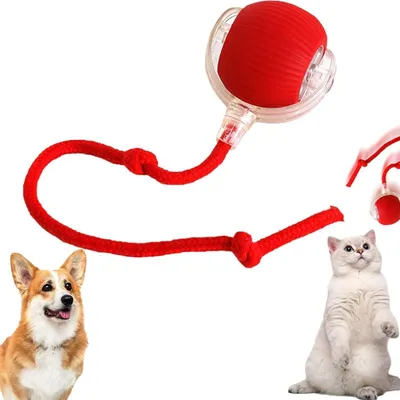 Produktbild von Rolling Ball, Elektrischer Hundeball Spielzeug, Chewie Chase Mate Katzenspielzeug, Interaktives Hundespielzeug Ball, Smart Automatisch Rollender Ball für Kleine,Mittlere Hunde (Rot), Haustier Spiel drinnen