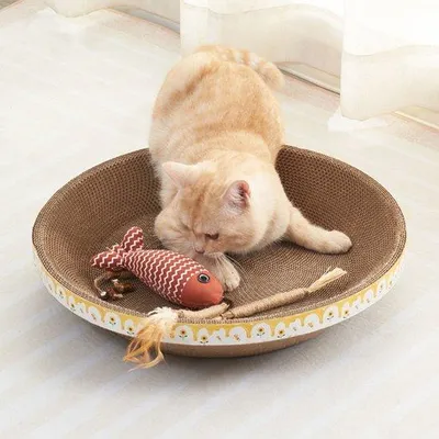 Image de Planche d'escalade pour chats - Carton, 30 x 7,5 cm, jaune