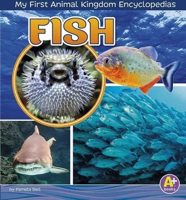 Produktbild von Fish