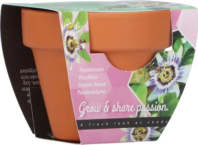 Produktbild von Anzuchtset Blaue Passionsblume | Anzuchtsets von Buzzy Gifts