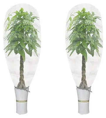 Produktbild von 2er Pack Pflanzenschutznetz mit Kordelzug – Atmungsaktives Gemüsenetz, Obstbaum-Schutzbeutel 100x120 cm