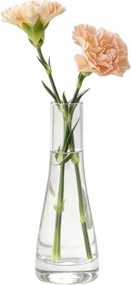 Image de Petit vase en verre transparent, fabriqué à la main, dimensions : 6,5 x 21 x 3,5 cm, idéal pour une seule fleur