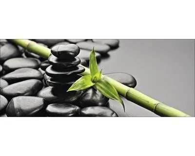 Produktbild von Glasbild Bamboo On Stone 80x30 cm