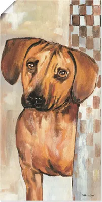 Produktbild von ARTland Poster Hund Größe: 75x150 cm