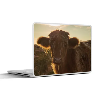 Produktbild von MuchoWow® Laptop Aufkleber Sticker Cover Schottischer Highlander - Sonnenuntergang - Gras 30x22 cm - Laptop-Sticker