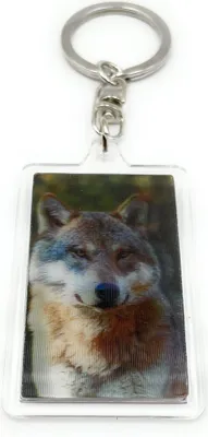Produktbild von Onwomania - Hund Shiba Inu - 3D Schlüsselanhänger aus Metall, ideal als Geschenk z.B. für den besten Freund, die beste Freundin, Mama - Für Männer, Frauen & Kinder