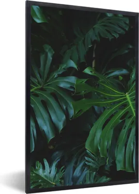 Produktbild von MuchoWow® Gerahmtes Poster Dschungel - Grün - Blätter 60x90 cm - Poster mit Schwarzem Bilderrahmen Wandposter Rahmen Foto Bilder - Kunst