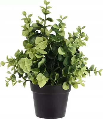 Immagine prodotto di Pianta artificiale decorativa di 23 cm - sempreverde in un elegante vaso nero, non richiede manutenzione