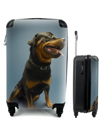 Produktbild von MuchoWow® Koffer Handgepäck Trolley Rollkoffer Kleine Reisekoffer mit 4 Rollen - Studiofoto eines Rottweilers auf blauem Hintergrund - Cabin Size < 55x40x23 cm & 55x40x20 cm - Fotokoffer - Kabinenkoffer - Boardgepäck - Reise-Box - Reisekoffer - Reisegepäck - Koffer mit Bild - Trolley für Kinder