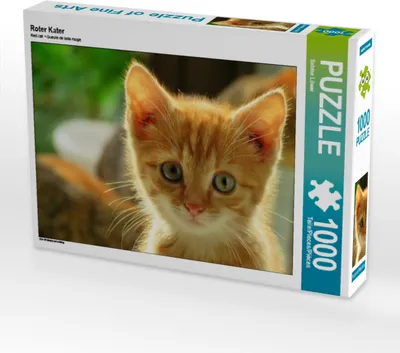 Produktbild von CALVENDO Puzzle Roter Kater | 1000 Teile Lege-Größe 64x48cm Foto-Puzzle für glückliche Stunden