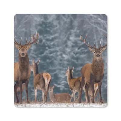 Produktbild von MuchoWow® Mauspad Mousepad Hirsche - Winter - Schnee - Waldtiere - Wald - Natur 30x30 cm - Mousepads - Maus Mat - Pad - Mausunterlage - Gaming