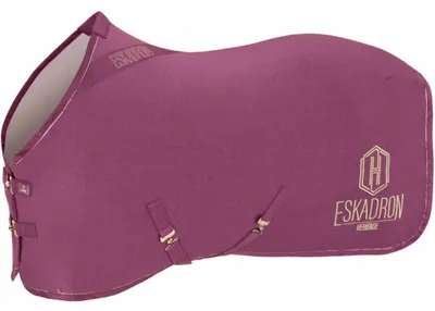 Image de Chemise séchante Eskadron Heritage 25/26 Jersey Sparkle