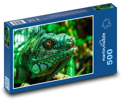 Zdjęcie produktu dla Puzzle 500 Zielony legwan w dżungli - martinpuzzle