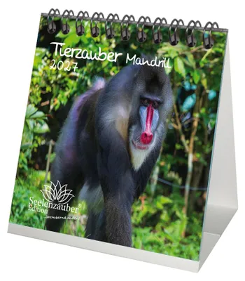 Produktbild von Tierzauber Mandrill Tischkalender 10x10cm für 2027 Affen - Seelenzauber