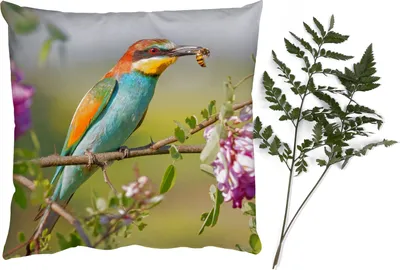 Produktbild von MuchoWow® Zierkissen Sofakissen Wohnzimmer Dekokissen 50x50 cm Vogel - Bienenfresser - Blumen - Komfort - Sofakissen