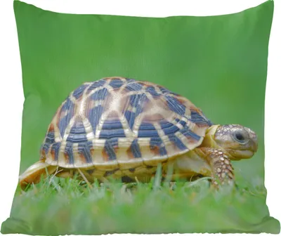 Produktbild von MuchoWow® Zierkissen Sofakissen Wohnzimmer Dekokissen 45x45 cm Schildkröte im Gras - Schlafpolster - Polster für das Sofa