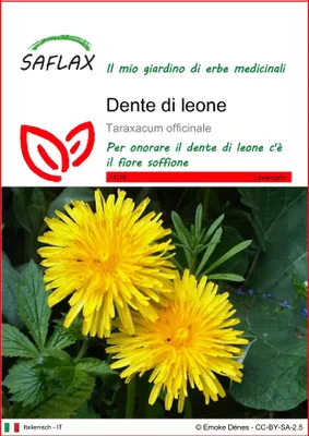 Immagine prodotto di SAFLAX  - Dente di leone - 200 semi - Taraxacum