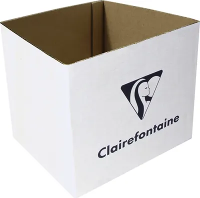 Produktbild von Clairefontaine Kartondisplay 20 Geschenkpapierrollen 5x0,35m, leer Weiß 200608C