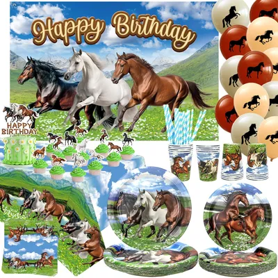 Image de Décorations sur le thème des cowboys pour fêtes d'anniversaire