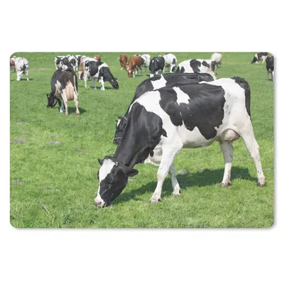 Produktbild von MuchoWow® Schreibtischunterlage Kuh - Tiere - Gras - Sonne 60x40 cm - XXL Mauspad - Großes Mauspad