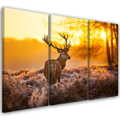 Produktbild von Triptychon auf leinwand tiere - orange 120x80 cm Feeby orange wandbild bereit zum aufhängen