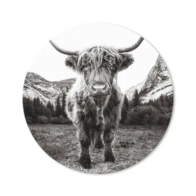 Produktbild von MuchoWow® Mauspad Mousepad Berg - Schwarz - Weiß - Schottischer Highlander 40x40 cm - Mousepads - Maus Mat - Pad - Mausunterlage - Schreibtisch Accessoires