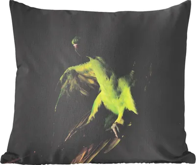 Produktbild von MuchoWow® Zierkissen Sofakissen Wohnzimmer Dekokissen 50x50 cm Papagei - Vogel - Zweig - Komfort - Sofakissen