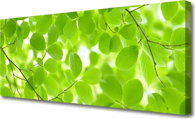 Produktbild von Tulup Leinwand-Bilder 125x50 Wandbild Canvas Kunstdruck Blätter Natur