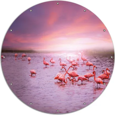Produktbild von Wallario rundes Outdoor-Poster für Garten oder Balkon, Motiv Rosa Flamingos bei Sonnenuntergang, 120 cm Durchmesser