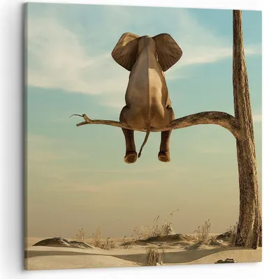 Produktbild von Bild auf Leinwand - Leinwandbild - Einteilig - Elefant sitzend Ast - 50x50cm - Wand Bild - Wanddeko - Wandbilder - Leinwanddruck - Bilder - Wanddekoration - Leinwand bilder - Wandbild - AC50x50-4557
