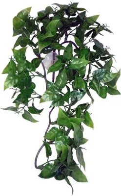 Produktbild von Künstliche Philodendron Hängepflanze 30 cm Dekoration für Terrarien und Reptilien