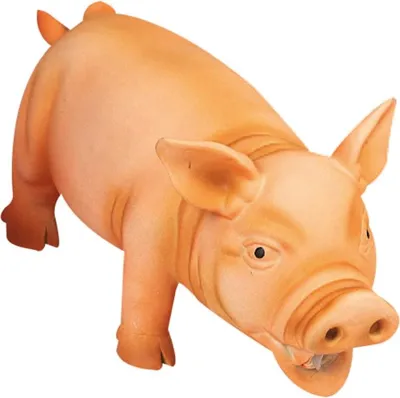 Image de Jouet pour chien : cochon en latex qui grogne, 22 cm