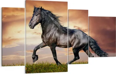 Produktbild von Bild auf Leinwand - Leinwandbild - Pferd Tier Wiese - 120x70cm - Wand Bild - Wanddeko - Wandbilder - Leinwanddruck - Bilder - Kunstdruck - Wanddekoration - Leinwand bilder - Wandkunst - DL120x70-2608