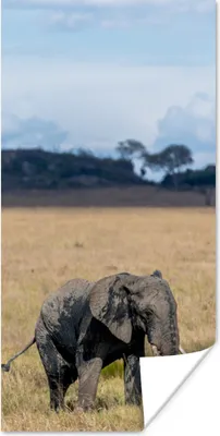 Produktbild von MuchoWow® Poster Schlammiges Elefantenbaby in der Serengeti 75x150 cm - Dekoration für die Wände