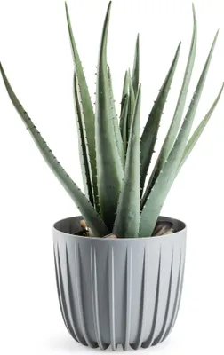 Image de HowHomely | Jardinière - Stripped - 18x15,6 cm - Gris - Design moderne - Résistant aux UV et durable