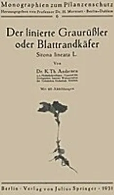 Produktbild von Der linierte Graurüßler oder Blattrandkäfer