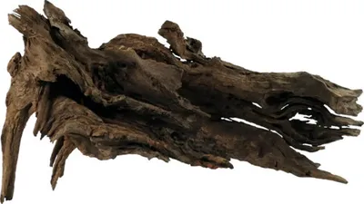 Produktbild von Aquariumdekoration Kapas-Wurzel XL ca. 50 x 20 cm