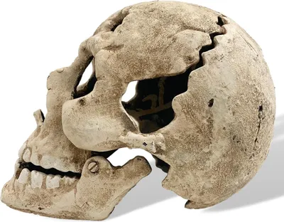 Produktbild von Totenkopf Schädel Skelett Eisen Antik-Stil 23cm Kerzenleuchter Halloween Gothic