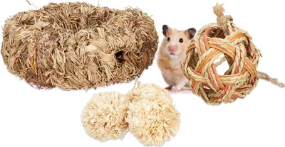 Produktbild von relaxdays Hamster Zubehör Set 5 tlg.