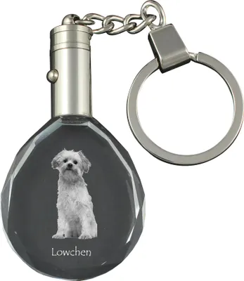 Produktbild von Löwchen - Anhänger mit einem Foto eines Hundes, Schlüsselanhänger aus Kristall in einer Geschenkbox, ein einzigartiges Geschenk von Art-Dog