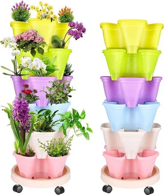 Immagine prodotto di Terrario con fragole e Beetel - Terrario delle fragole - Torre delle fragole - Beetel delle fragole - Terrario delle fragole