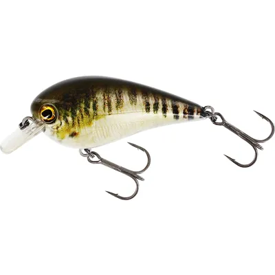 Zdjęcie produktu dla Wobler Westin Bassbite Squarebill Floating, kolor: Real Minnow, długość: 7,0 cm