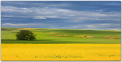 Produktbild von Coloray Bild aus Leinwand 140x70 Leinwand Dekoration - Blumen Hügel Himmel